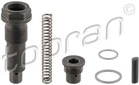 Tensioner, timing chain 408 971