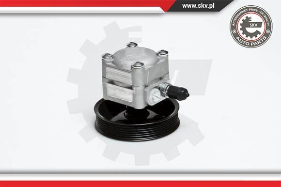 Hydraulic Pump, steering 10SKV027
