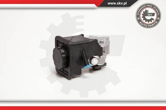 Hydraulic Pump, steering 10SKV012