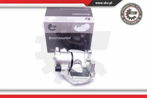 Brake Caliper 42SKV272