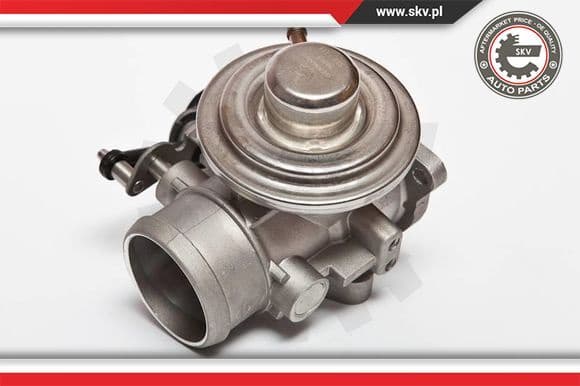 EGR Valve 14SKV020
