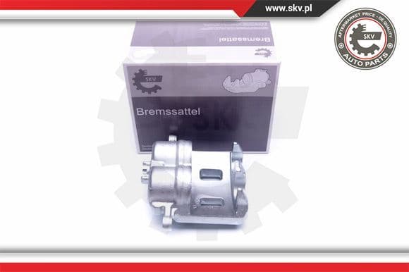 Brake Caliper 42SKV981