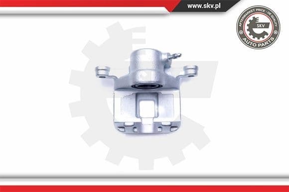 Brake Caliper 42SKV773