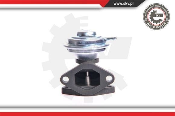 EGR Valve 14SKV001