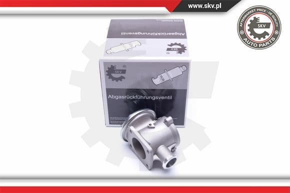 EGR Valve 14SKV178