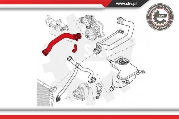 Radiator Hose 43SKV702 - image 4