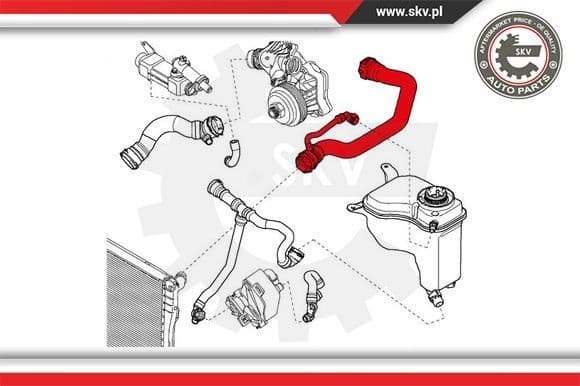 Radiator Hose 43SKV718 - image 4