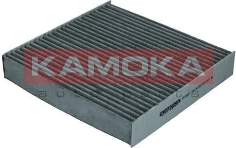 Filter, cabin air F510601