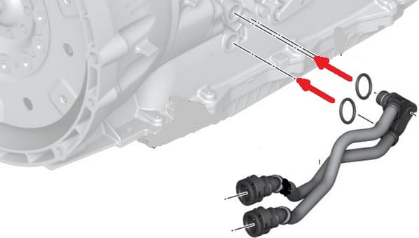 Seal ring automatic gearbox 17227809805 - image 2