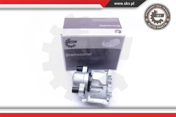 Brake Caliper 42SKV164