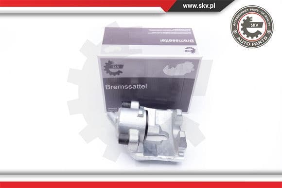 Brake Caliper 42SKV022