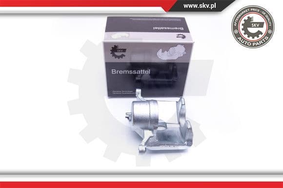 Brake Caliper 42SKV201