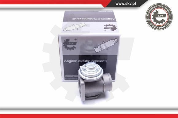 EGR Valve 14SKV174