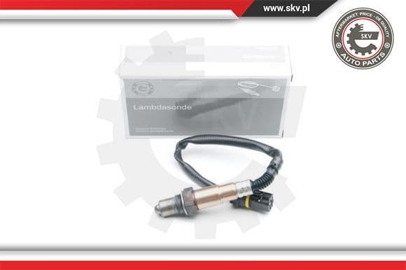 Oxygen Sensor 09SKV619