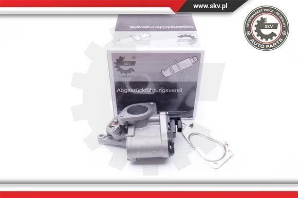 EGR Valve 14SKV165