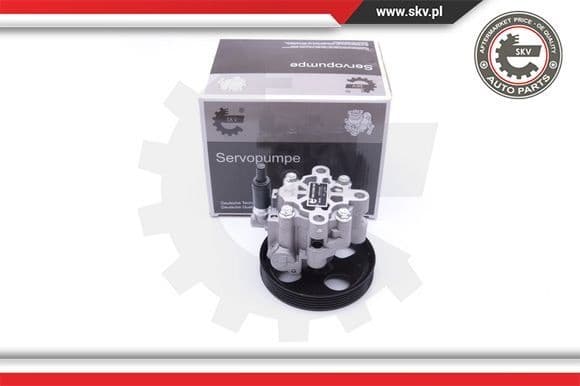 Hydraulic Pump, steering 10SKV287