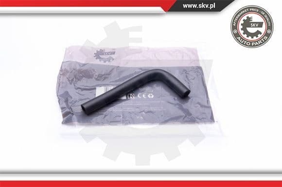 Hose, crankcase ventilation 31SKV115