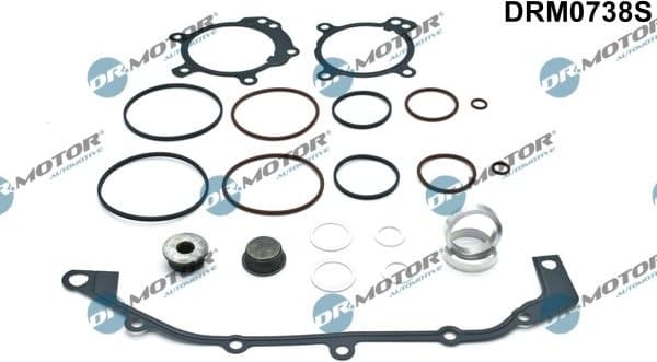 Gasket Kit, timing case DRM0738S