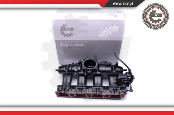 Intake Manifold Module 49SKV003