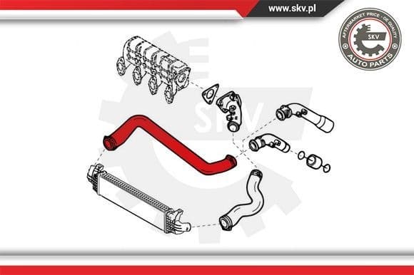 Charge Air Hose 24SKV791 - image 3