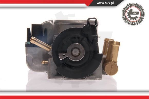 Throttle Body 12SKV018