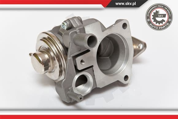 EGR Valve 14SKV063