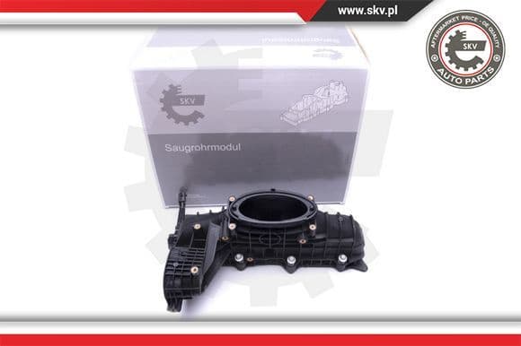 Intake Manifold Module 49SKV014