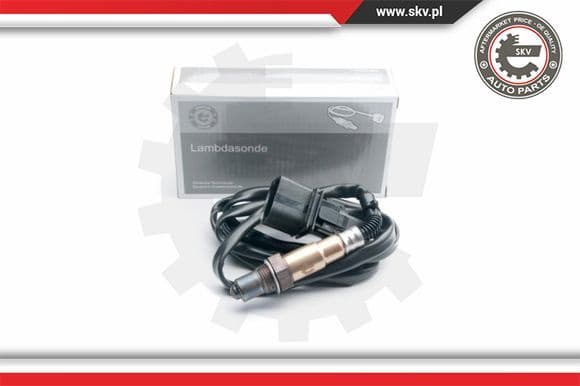 Oxygen Sensor 09SKV860