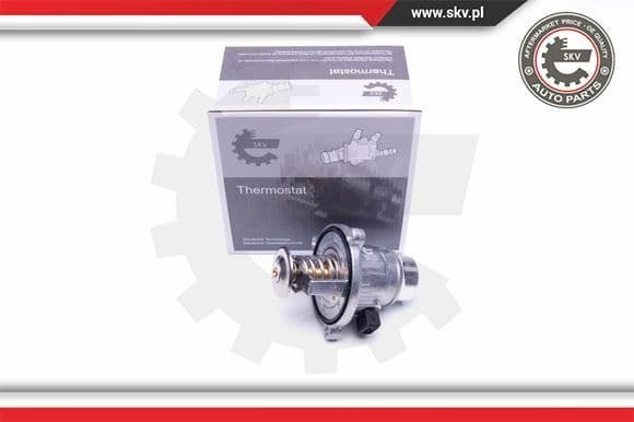 Thermostat, coolant 20SKV063
