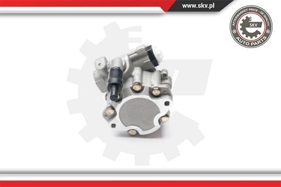 Hydraulic Pump, steering 10SKV199