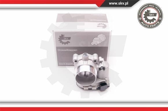 Throttle Body 12SKV054