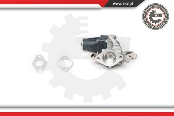 EGR Valve 14SKV100