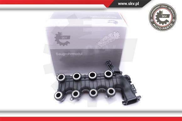 Intake Manifold Module 49SKV022