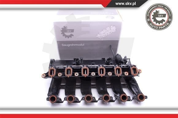 Intake Manifold Module 49SKV016