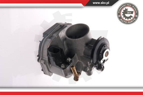 Throttle Body 12SKV015