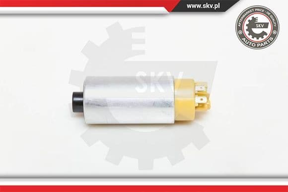 Fuel Pump 02SKV248