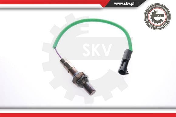 Oxygen Sensor 09SKV069