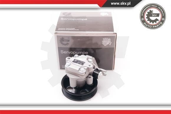 Hydraulic Pump, steering 10SKV214