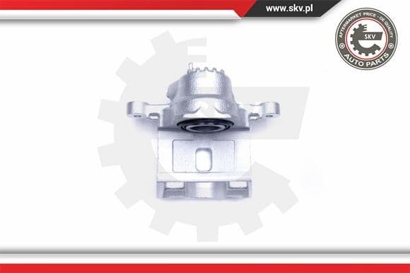 Brake Caliper 42SKV953