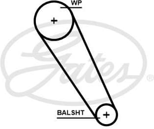 Timing Belt PowerGrip™ 5698XS