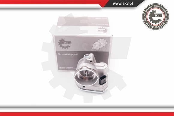 Throttle Body 12SKV055