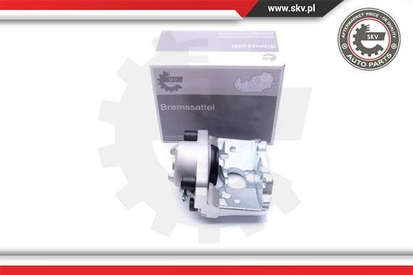 Brake Caliper 42SKV821