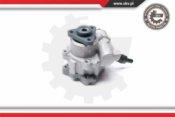 Hydraulic Pump, steering 10SKV233