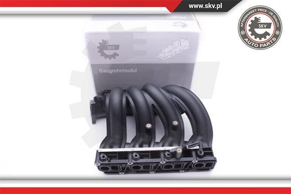 Intake Manifold Module 49SKV011