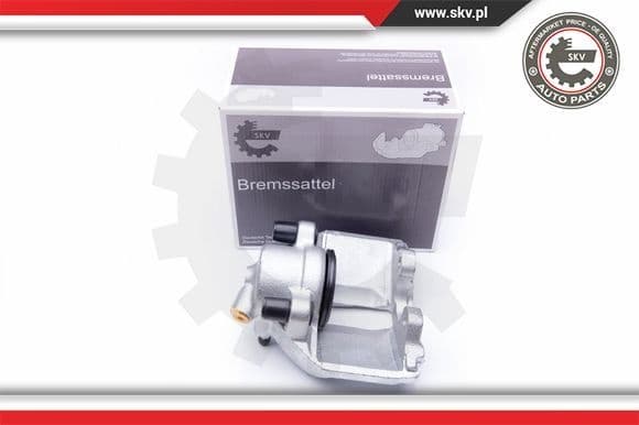 Brake Caliper 42SKV032