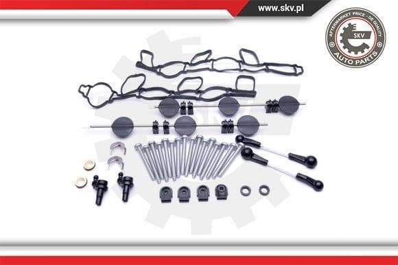 Repair Kit, intake manifold module 49SKV501 - image 2