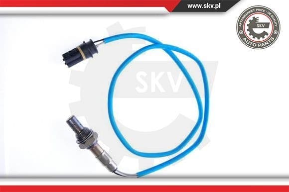 Oxygen Sensor 09SKV031