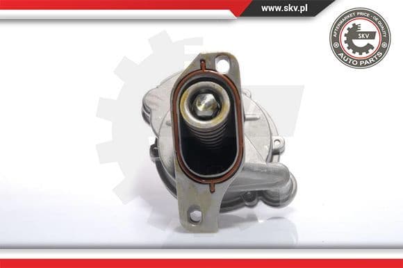 Vacuum Pump, braking system 18SKV005