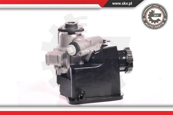 Hydraulic Pump, steering 10SKV165