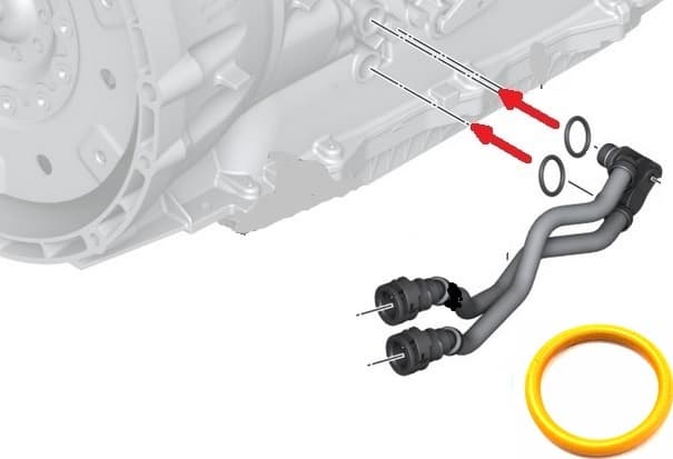 Seal ring automatic gearbox 17228573882